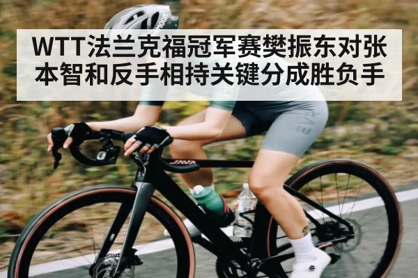 WTT法兰克福冠军赛樊振东对张本智和反手相持关键分成胜负手 | kaiyun